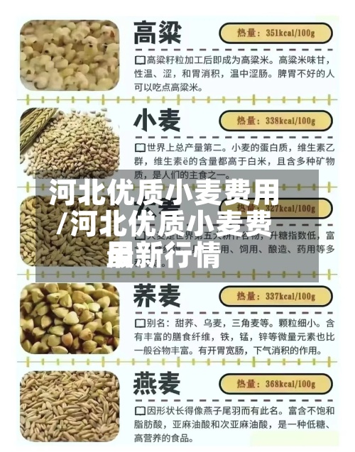 河北优质小麦费用
/河北优质小麦费用
最新行情-第2张图片