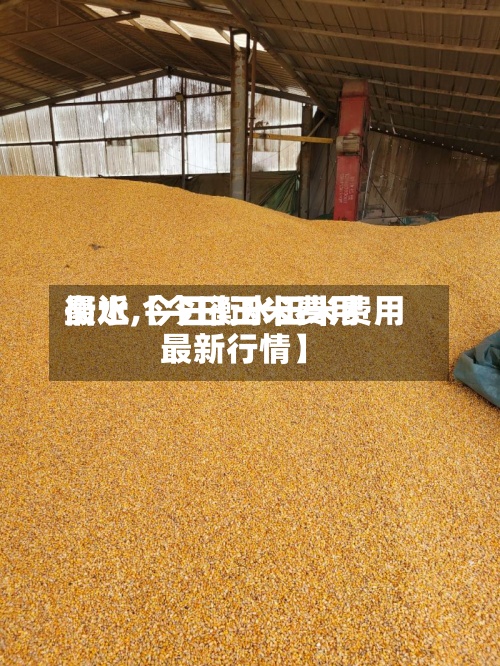 最近【今日玉米费用
衡水,今日衡水玉米费用
最新行情】-第2张图片