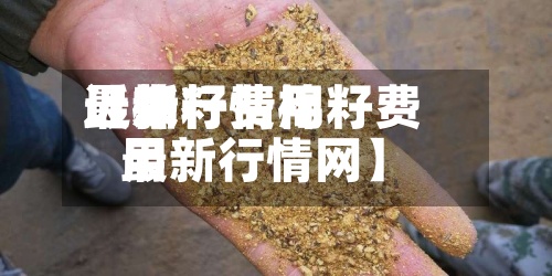 近来【棉籽费用最新行情棉籽费用最新行情网】-第2张图片