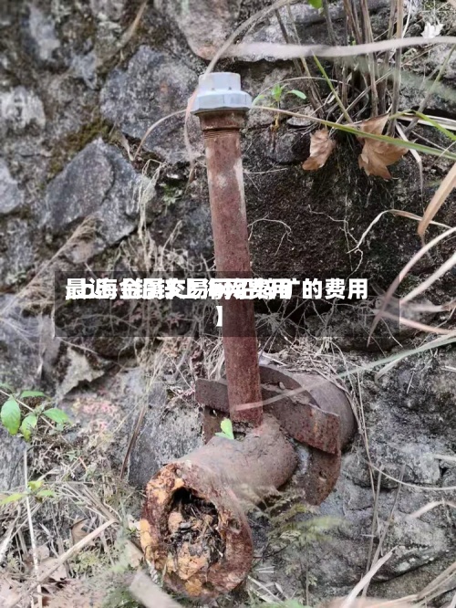 最近【铅锌上海网费用,上海金属交易网铅锌矿的费用】
