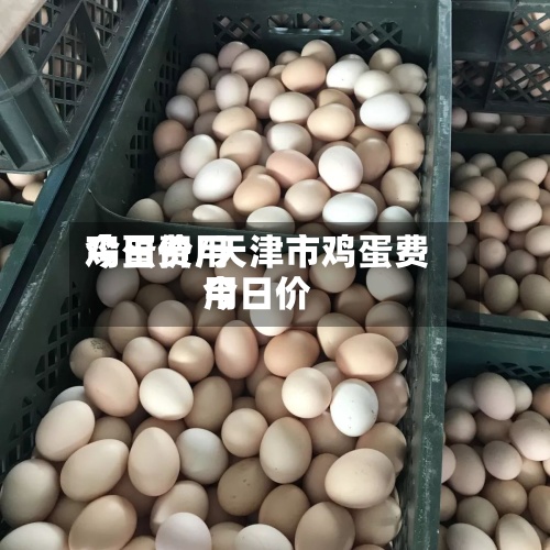 鸡蛋费用今日价/天津市鸡蛋费用今日价-第2张图片
