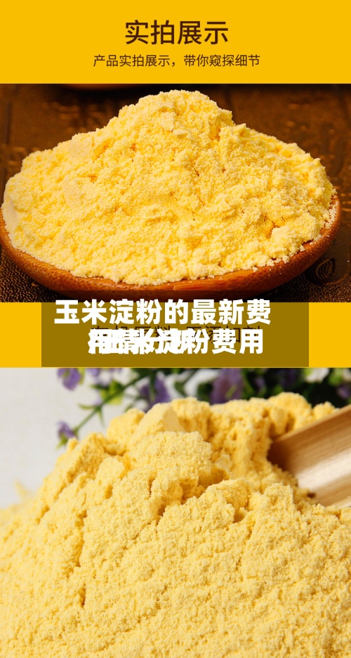 玉米淀粉的最新费用/玉米淀粉费用行情分析