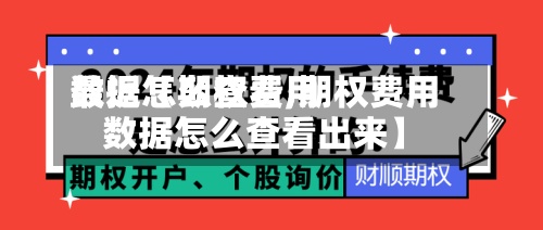 最近【期权费用数据怎么查看,期权费用数据怎么查看出来】