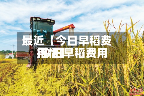 最近【今日早稻费用,今日早稻费用行情】