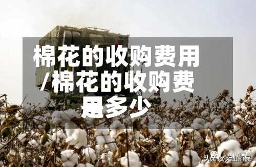 棉花的收购费用/棉花的收购费用是多少