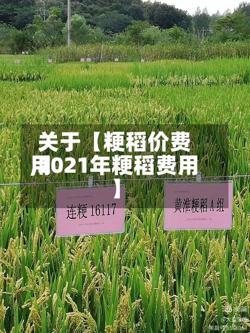 关于【粳稻价费用,2021年粳稻费用】