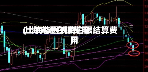 上海完通白银费用
(上海华通现货白银结算费用
)-第2张图片