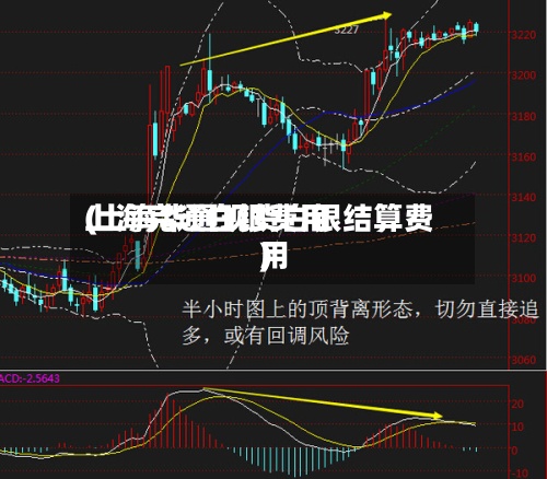 上海完通白银费用(上海华通现货白银结算费用)