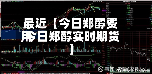 最近【今日郑醇费用,今日郑醇实时期货】