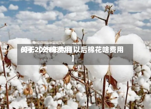 关于【外棉费用6月,2021年六月以后棉花啥费用】