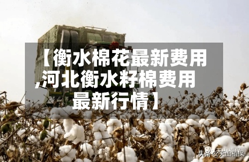 【衡水棉花最新费用,河北衡水籽棉费用最新行情】-第2张图片
