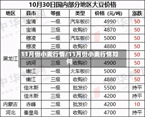 11月份小麦行情/11月份小麦行情如何