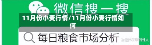 11月份小麦行情/11月份小麦行情如何-第2张图片
