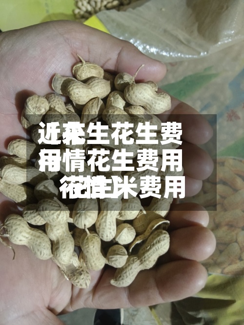 近来
【花生花生费用
行情花生费用
花生米费用
行情】-第2张图片