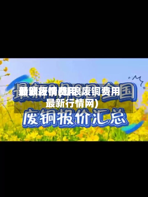 新浪废铜费用最新行情(新浪废铜费用最新行情网)-第2张图片