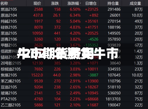 牛市期货费用
/2021年期货牛市-第3张图片