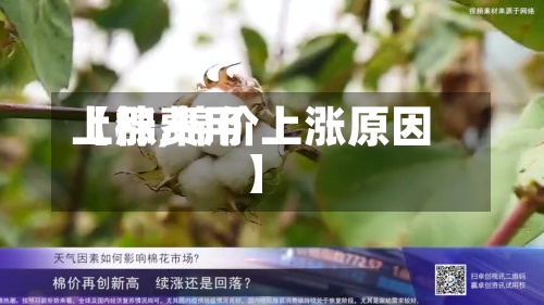 【棉费用上涨,棉价上涨原因】-第2张图片