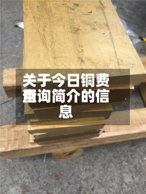 关于今日铜费用查询简介的信息