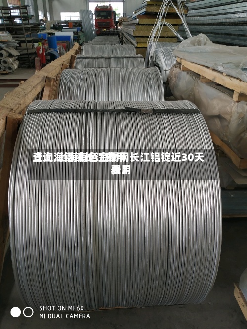 【上海铝锭长江费用查询,上海有色金属网长江铝锭近30天费用表】