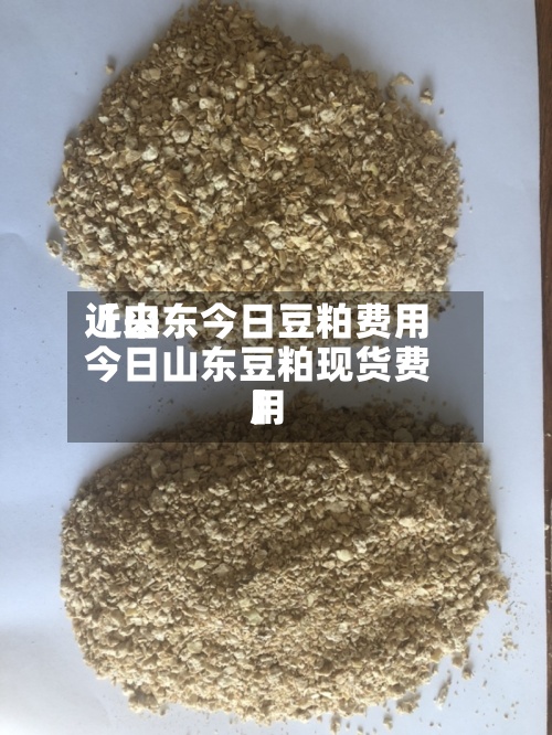 近来【山东今日豆粕费用今日山东豆粕现货费用】-第2张图片