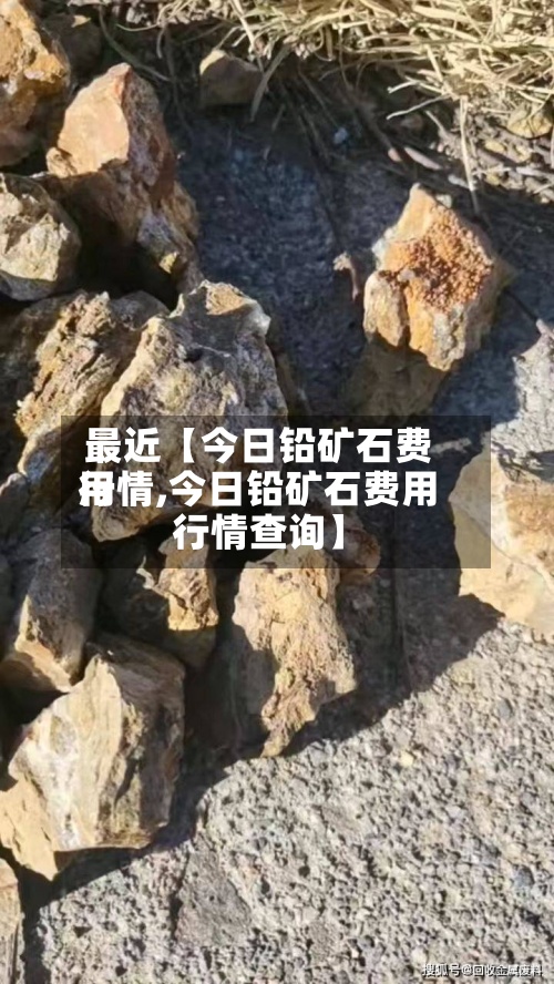 最近【今日铅矿石费用
行情,今日铅矿石费用
行情查询】-第2张图片