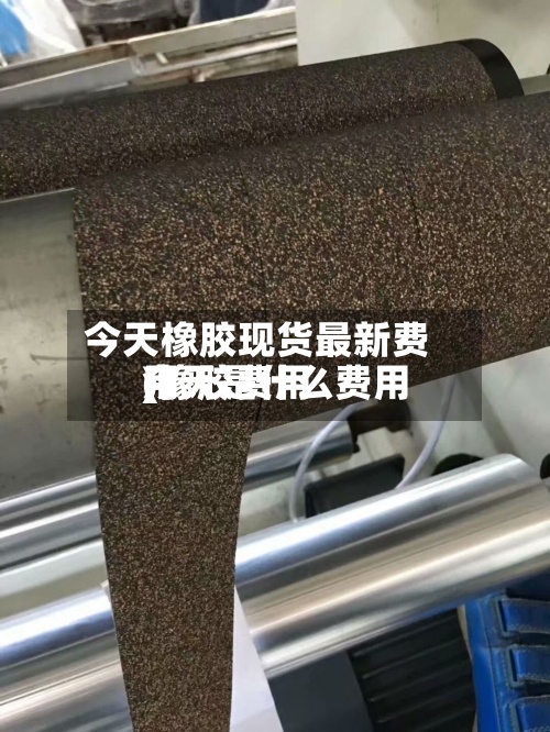 今天橡胶现货最新费用(橡胶费用今天是什么费用)