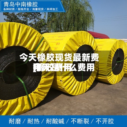 今天橡胶现货最新费用(橡胶费用今天是什么费用)-第2张图片