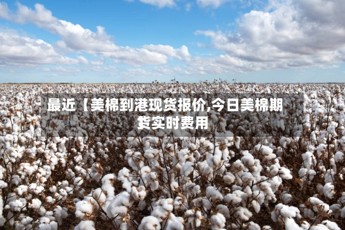 最近【美棉到港现货报价,今日美棉期货实时费用】-第3张图片