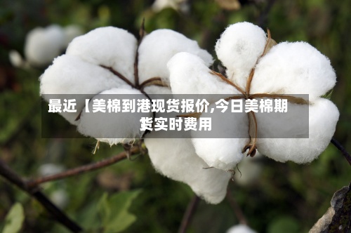 最近【美棉到港现货报价,今日美棉期货实时费用】-第2张图片