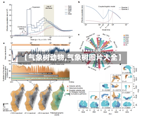 【气象树动物,气象树图片大全】