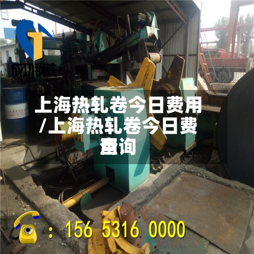 上海热轧卷今日费用/上海热轧卷今日费用查询-第2张图片