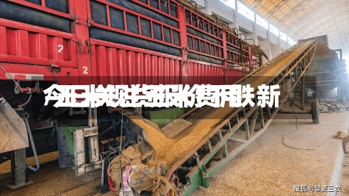 今日关注玉米费用
/玉米现货报价下跌新