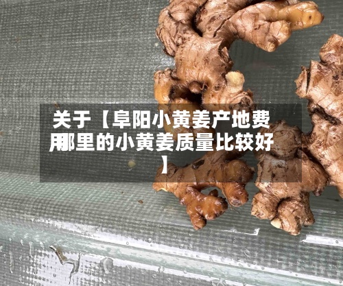 关于【阜阳小黄姜产地费用
,哪里的小黄姜质量比较好
】-第3张图片