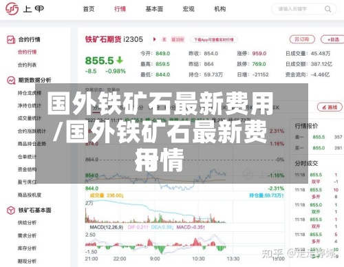 国外铁矿石最新费用/国外铁矿石最新费用行情-第2张图片