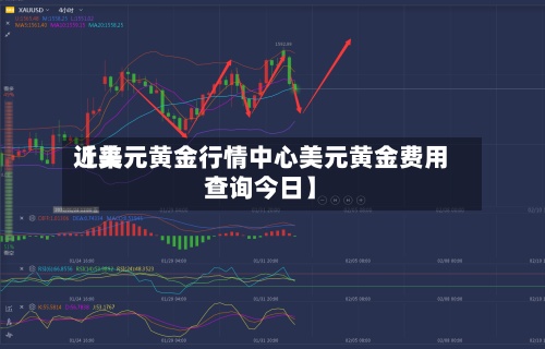 近来【美元黄金行情中心美元黄金费用查询今日】