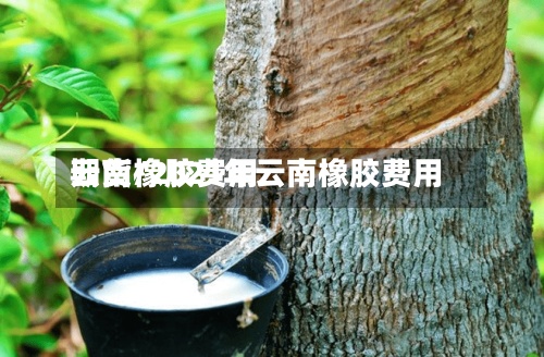 云南橡胶费用
期货/2021年云南橡胶费用