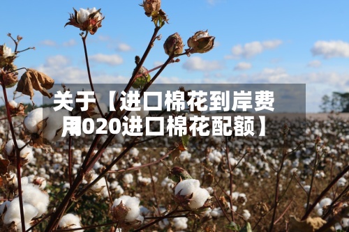 关于【进口棉花到岸费用
,2020进口棉花配额】