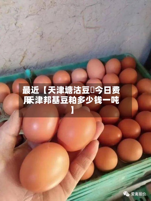 最近【天津塘沽豆粨今日费用,天津邦基豆粕多少钱一吨】