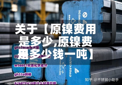 关于【原镍费用
是多少,原镍费用
是多少钱一吨】