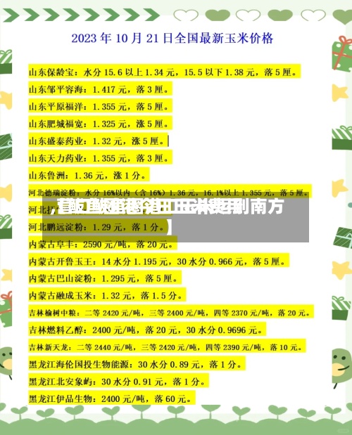 【鲅鱼圈港今日玉米费用,营口鲅鱼圈港口玉米运到南方】-第2张图片