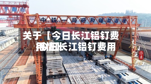 关于【今日长江铝钉费用
,今日长江铝钉费用
行情】-第2张图片