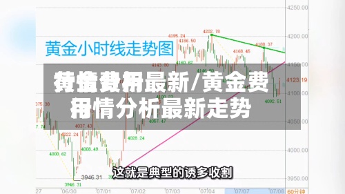 黄金费用行情分析最新/黄金费用行情分析最新走势-第2张图片
