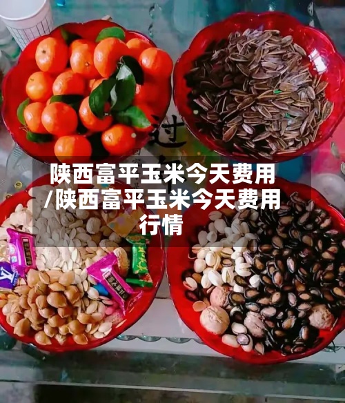 陕西富平玉米今天费用/陕西富平玉米今天费用行情