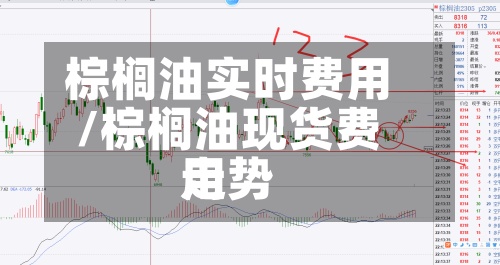 棕榈油实时费用/棕榈油现货费用走势
