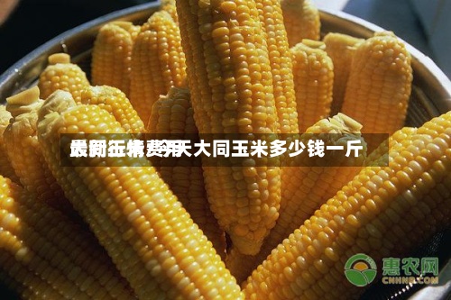 大同玉米费用最新行情/今天大同玉米多少钱一斤