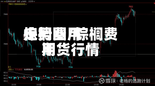 棕榈费用走势图/棕榈费用期货行情-第2张图片