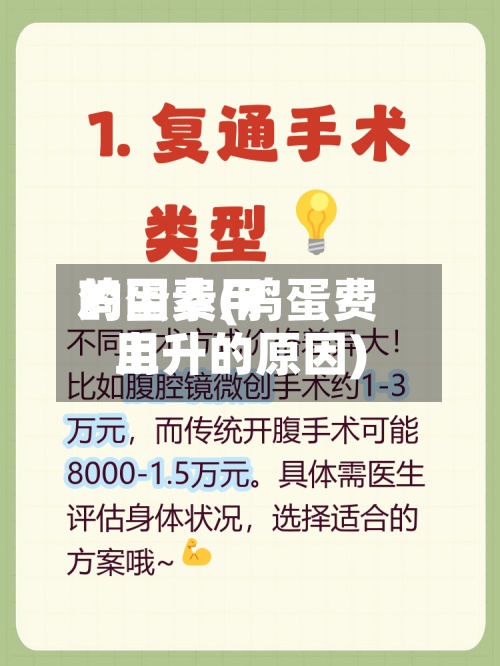 鸡蛋费用的因素(鸡蛋费用上升的原因)