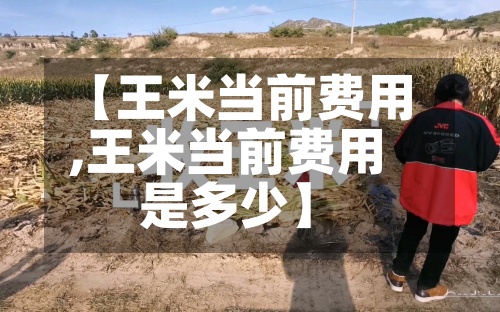 【王米当前费用,王米当前费用是多少】-第2张图片