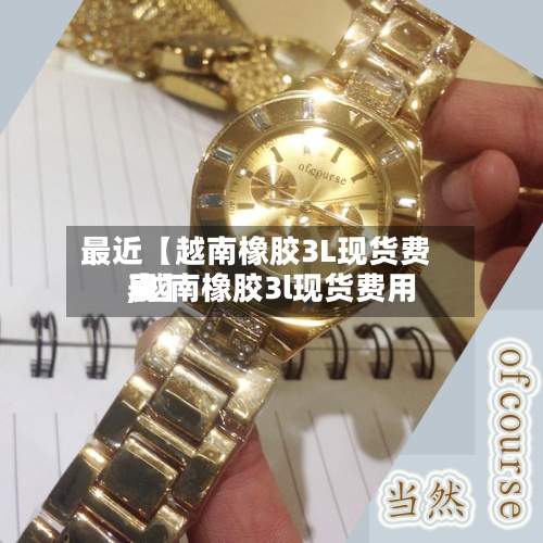 最近【越南橡胶3L现货费用,越南橡胶3l现货费用表】-第2张图片