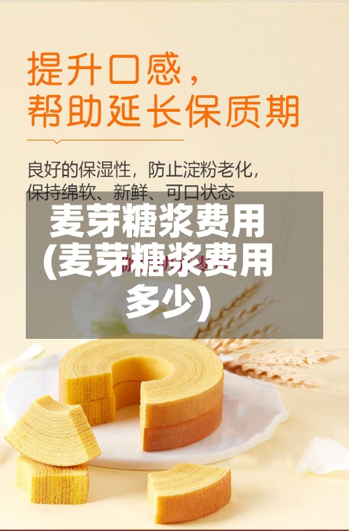 麦芽糖浆费用(麦芽糖浆费用多少)